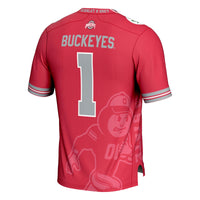 Ohio State Buckeyes Icon Scarlet jersey – view 4