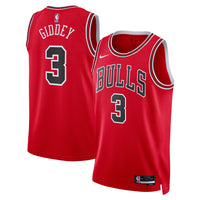 Chicago Bulls jersey – view 1