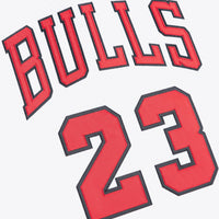 Chicago Bulls jersey – view 6