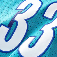 Charlotte Hornets Alonzo Mourning jersey – view 5